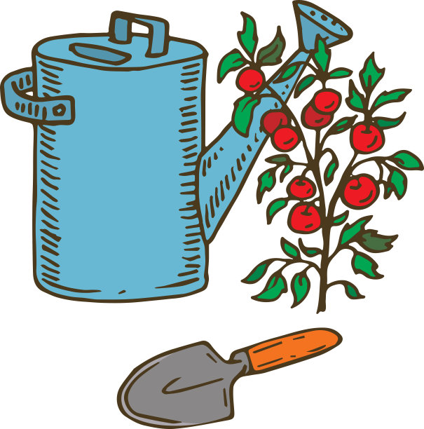 蓝色喷壶，泥铲和番茄图片下载