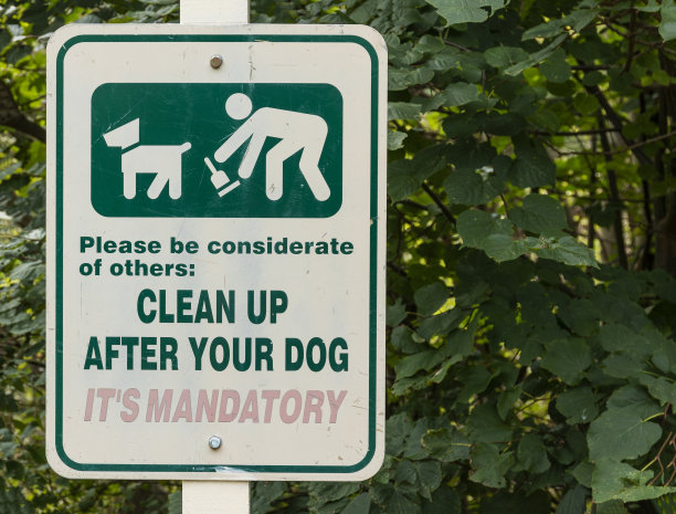 在你的狗标志后清理干净图片下载