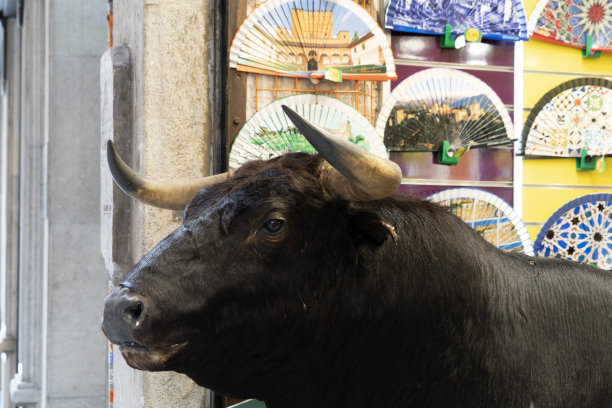 纪念品商店外的西班牙公牛图片下载