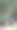 保加利亚瑞拉山松林中的小溪图片下载