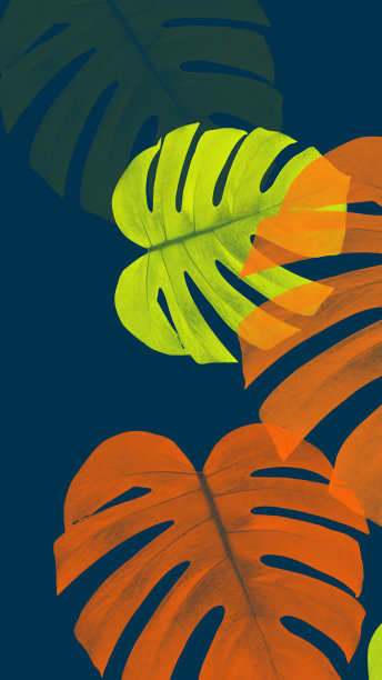 怪兽色彩抽象艺术背景图片下载