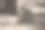 小袋鼠和红脖子小袋鼠图片下载