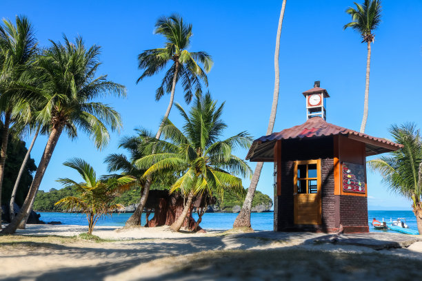 椰子海滩上的救生员塔。钟楼，小屋或农舍映衬着蓝天图片下载