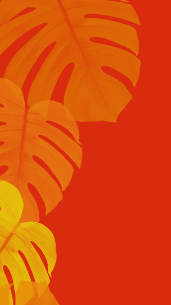 怪兽色彩抽象艺术背景图片下载