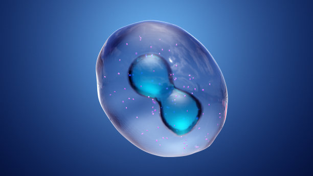 细胞分裂或克隆细胞图片下载