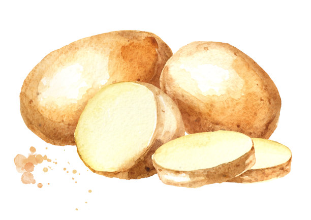 切生土豆和蔬菜。水彩手绘插图，孤立的白色背景图片下载