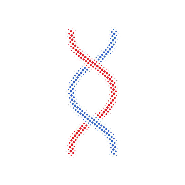 蓝色和红色DNA螺旋半色调矢量图标。插图风格是虚点图标DNA螺旋图标符号上的白色背景。矢量插图孤立在白色背景图片下载