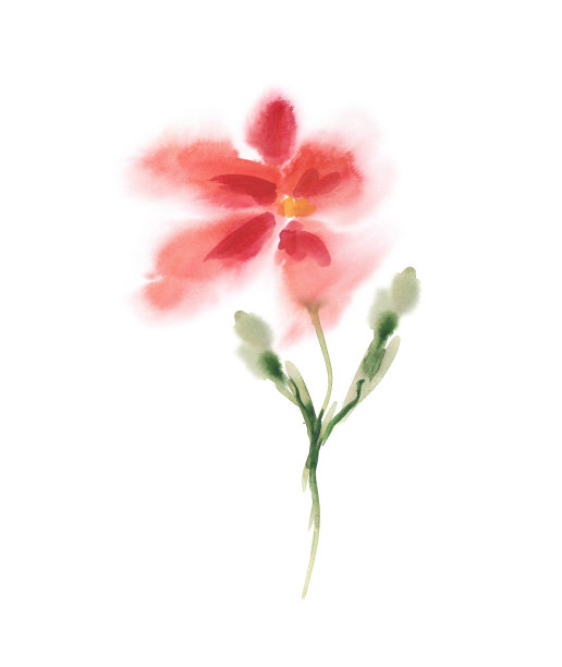 水彩花。图片下载