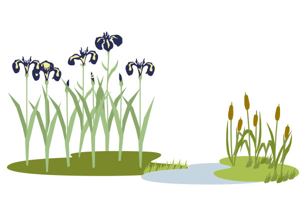 日本初夏景观插图。鸢尾花插图。日本风格的花夹艺术。日式花卉景观。时令花卉的形象。图片下载