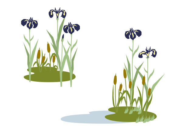 日本初夏景观插图。鸢尾花插图。日本风格的花夹艺术。日式花卉景观。时令花卉的形象。图片下载