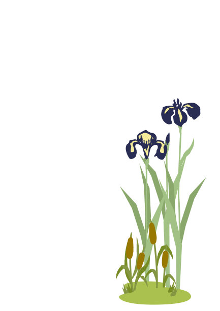 日本初夏景观插图。鸢尾花插图。日本风格的花夹艺术。日式花卉景观。时令花卉的形象。图片下载