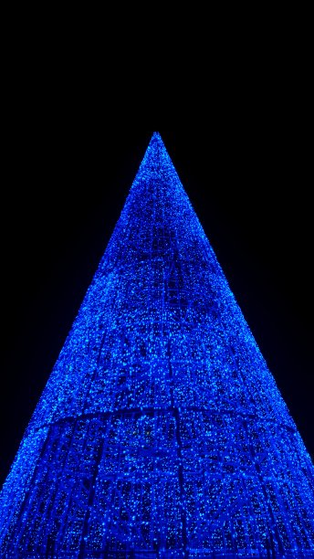 蓝色冷杉图片下载