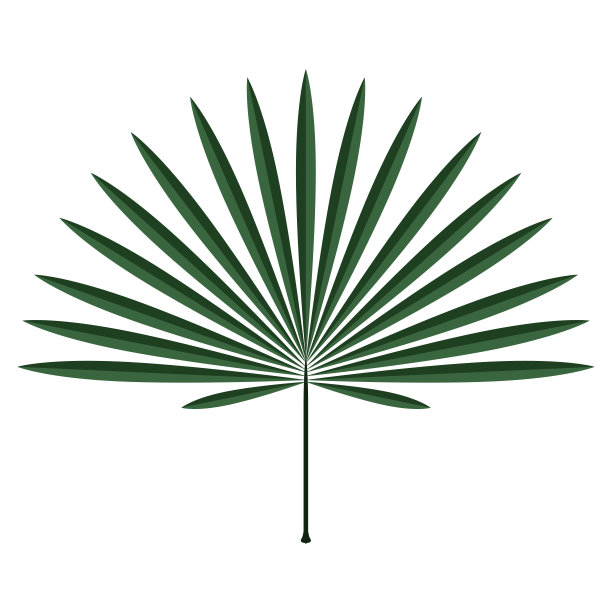 彩色热带树叶图标图片下载