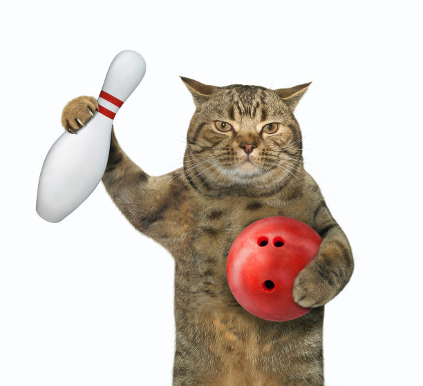 一只拿着保龄球和大头针的猫图片下载