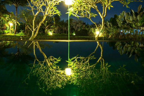 蓝色泳池在晚上的度假别墅和热带树叶图片下载