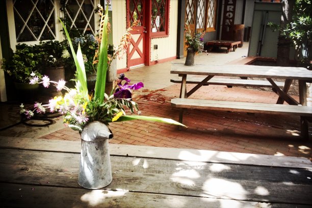 阳光下镇上广场长椅上的鲜花图片下载