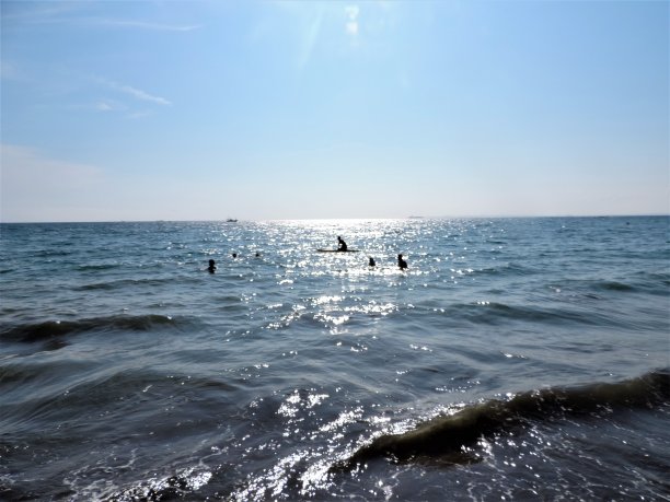 阳光下的海景图片下载