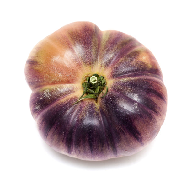 孤立的一个未成熟的蓝色番茄图片下载