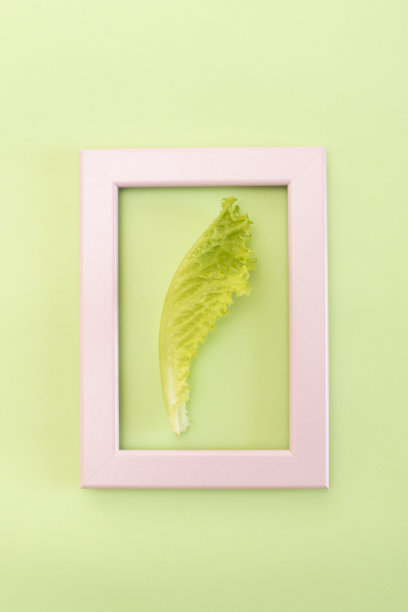 一片绿色的莴苣叶夹在绿色的白框里图片下载