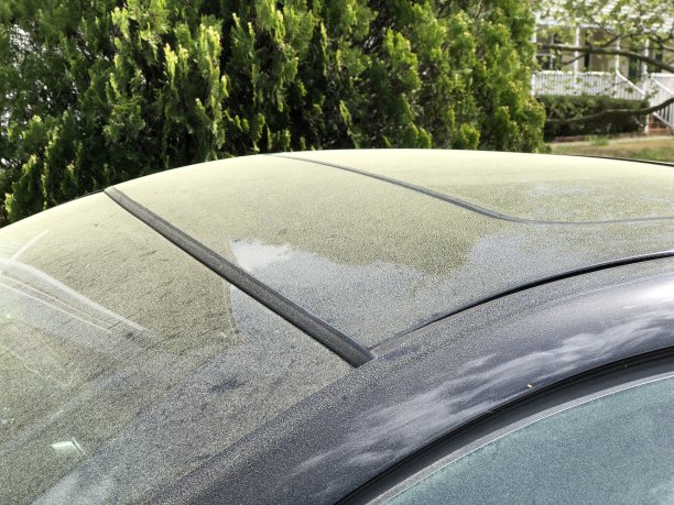 黑车上的花粉特写图片下载