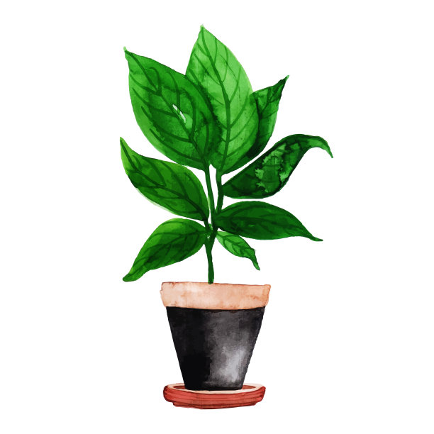 水彩仙人掌与壶收集图片下载