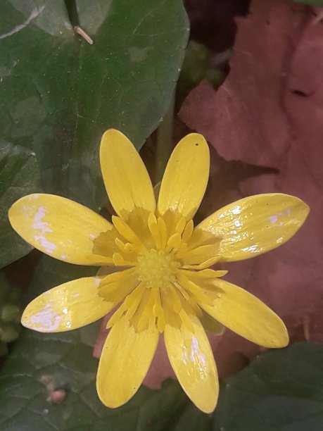 极简主义图片下载