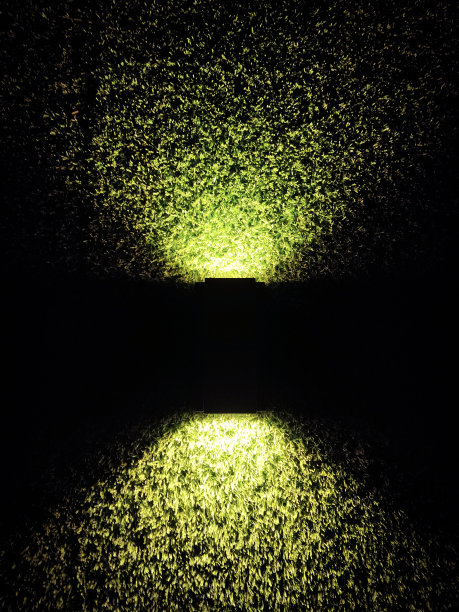 绿色照明光图片下载