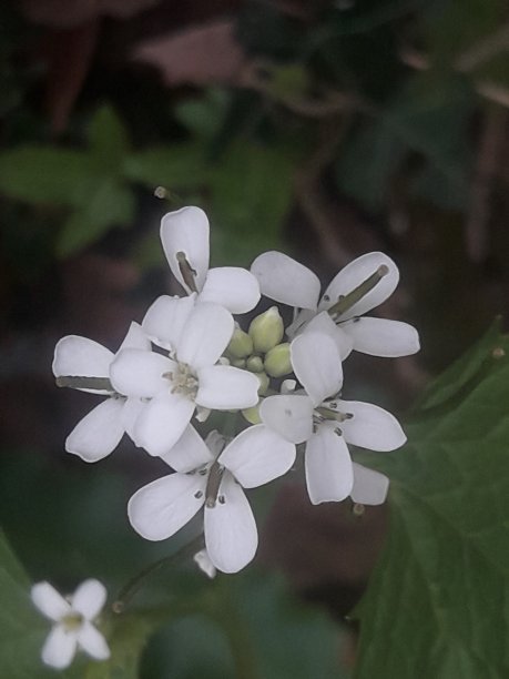 极简主义图片下载