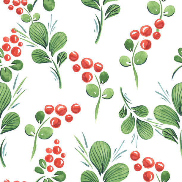 水彩模式红蔓越莓蔓越莓在白色的背景图片下载