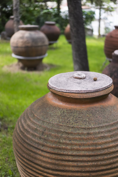 花园里的大旧陶罐图片下载