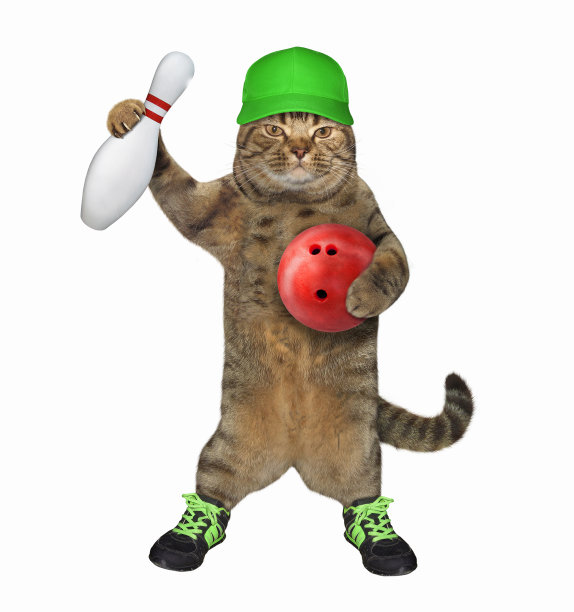 穿着鞋子的猫咪拿着保龄球3图片下载