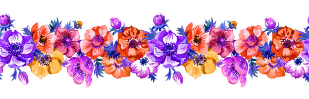 海葵无缝的边界图片下载