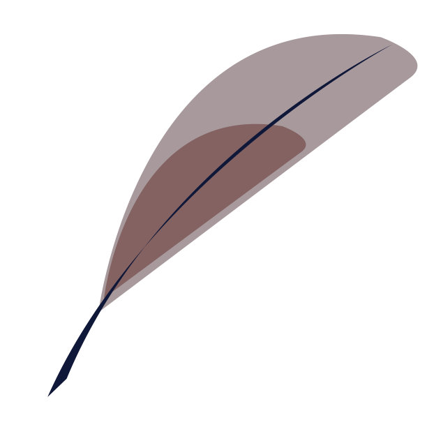 羽毛平插图上的白色图片下载