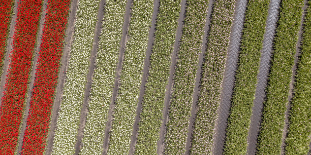 鸟瞰图图片下载