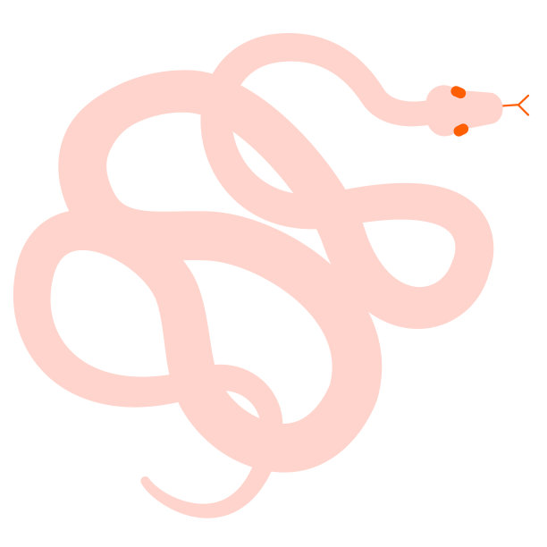 蛇平面插图上的白色图片下载