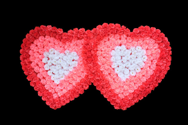 两颗心形的人造玫瑰孤立在黑色背景上。图片下载