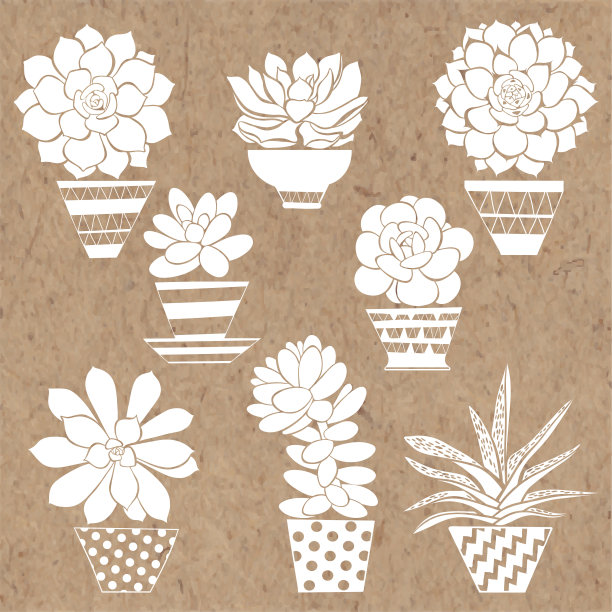 多肉植物在罐子里的图形集，隔离在牛皮纸上。手绘矢量插图，草图。设计元素。剪影。图片下载