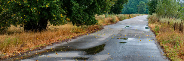 沥青路上的水坑和落叶。图片下载
