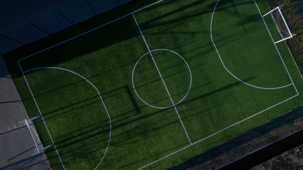 从高空鸟瞰。图片下载