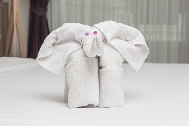 叠毛巾大象图片下载