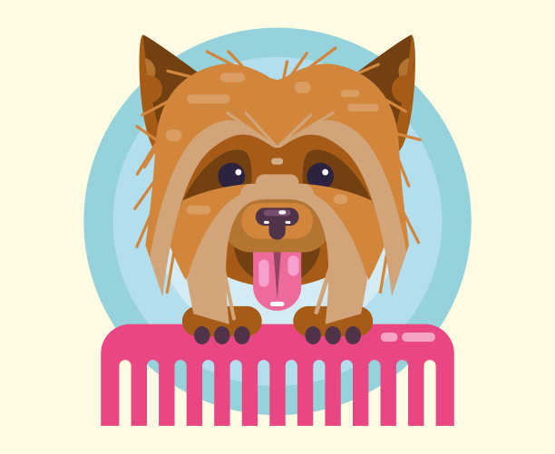 狗梳理毛发。理发，梳理和梳理宠物。图片下载