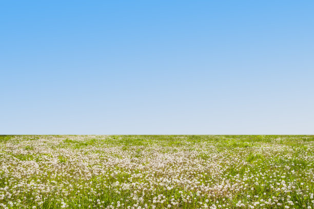 夏季或春季图片下载