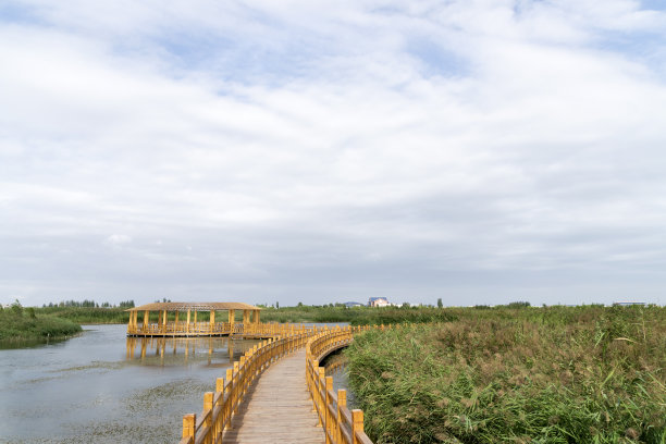 湿地公园步道以水和天空为背景图片下载
