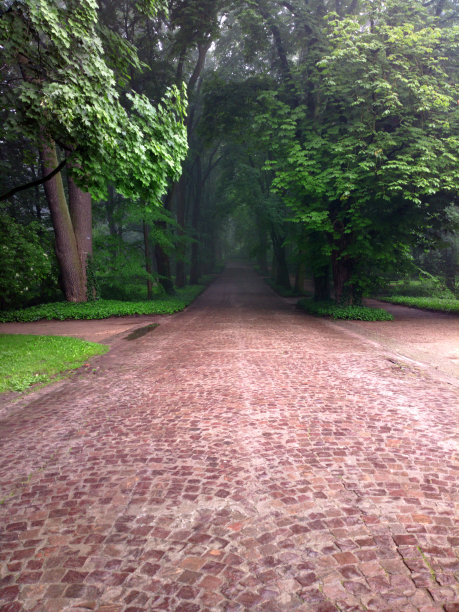 早上在公园散步的那条路。图片下载