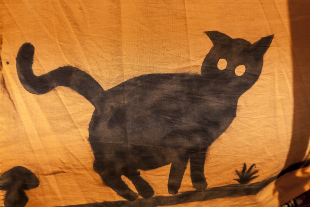 画布上画着一只黑猫图片下载