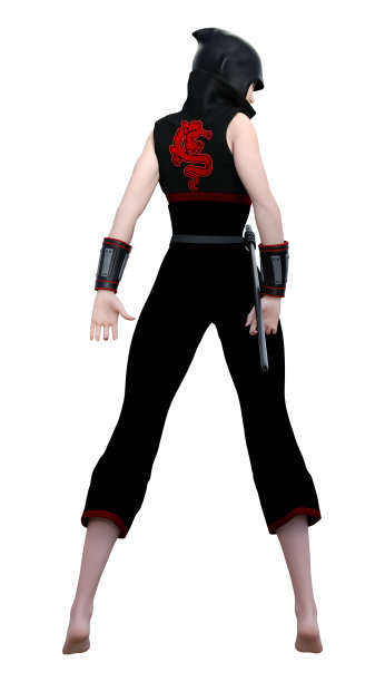 3D插图女忍者在白色图片下载