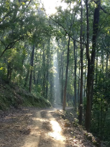 让阳光来图片下载
