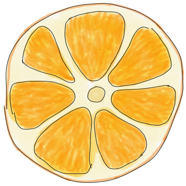 片橙色。栅格插图，菜单设计草图，标签，海报。图片下载