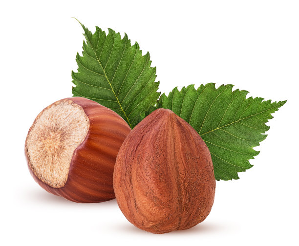 去皮和一个带叶的榛子壳。新鲜有机榛子图片下载