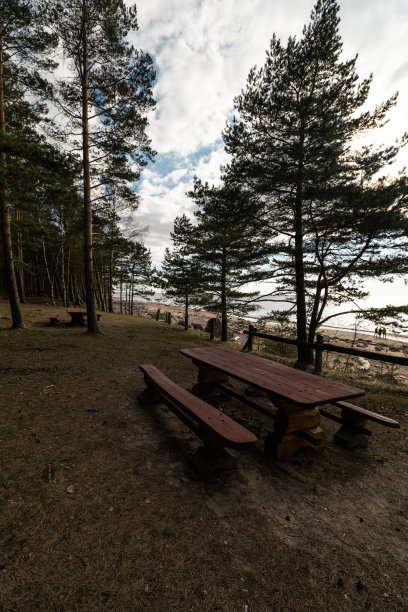 2019年4月28日，在拉脱维亚的Veczemju Klintis，一个美丽的波罗的海松林里的野餐和露营地图片下载